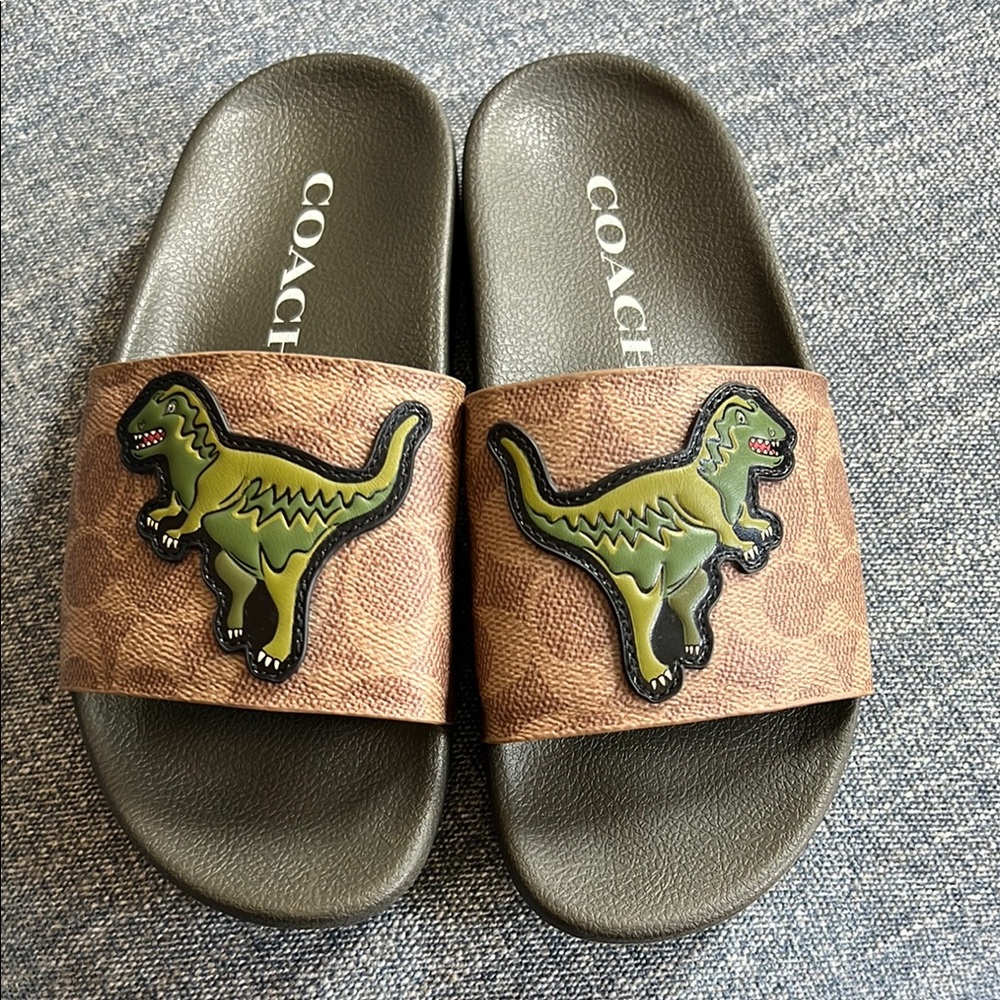 Coach Brown and Green Dinosaur Slides